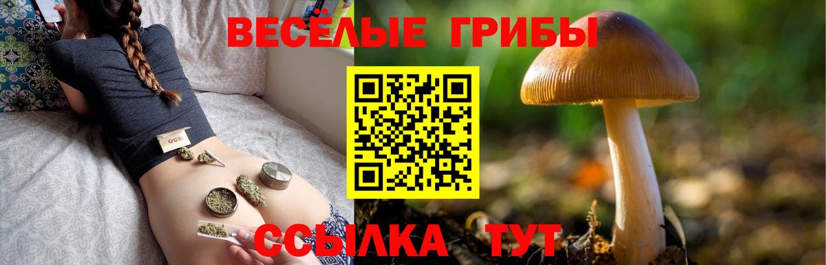 Сокол  Галлюциногенные грибы прущие грибы  Вход с VPN 