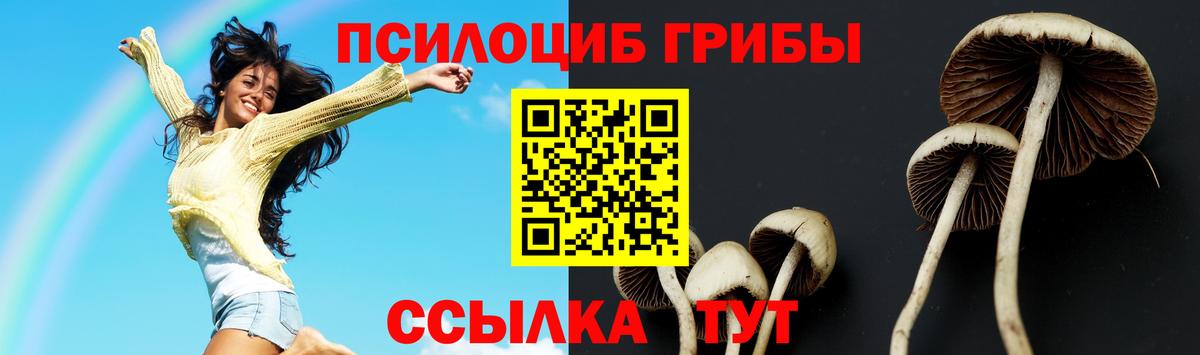 Галлюциногенные грибы прущие грибы Сокол