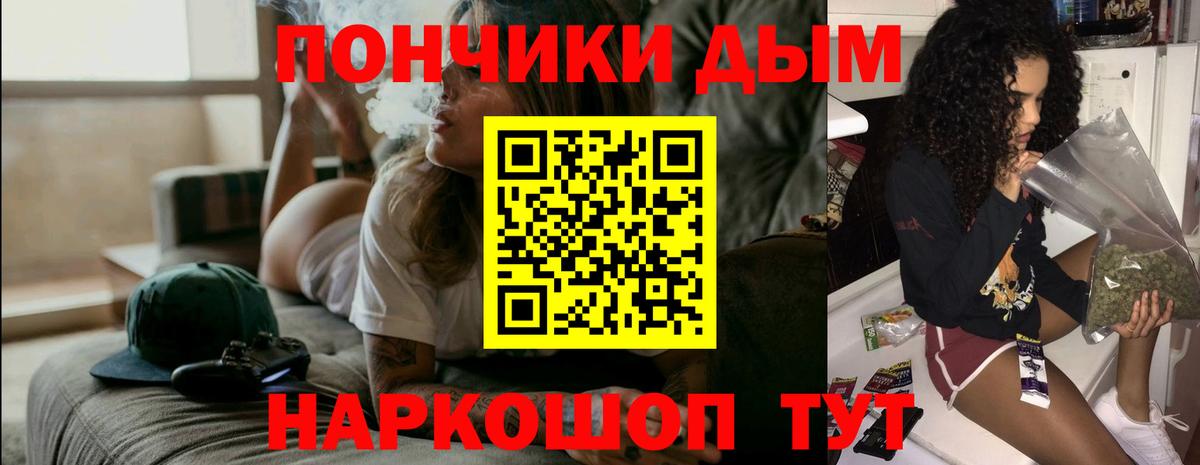 Сокол  Бошки Шишки конопля  Вход с VPN  Бошки марихуана THC 21%  Шишки марихуана сатива 